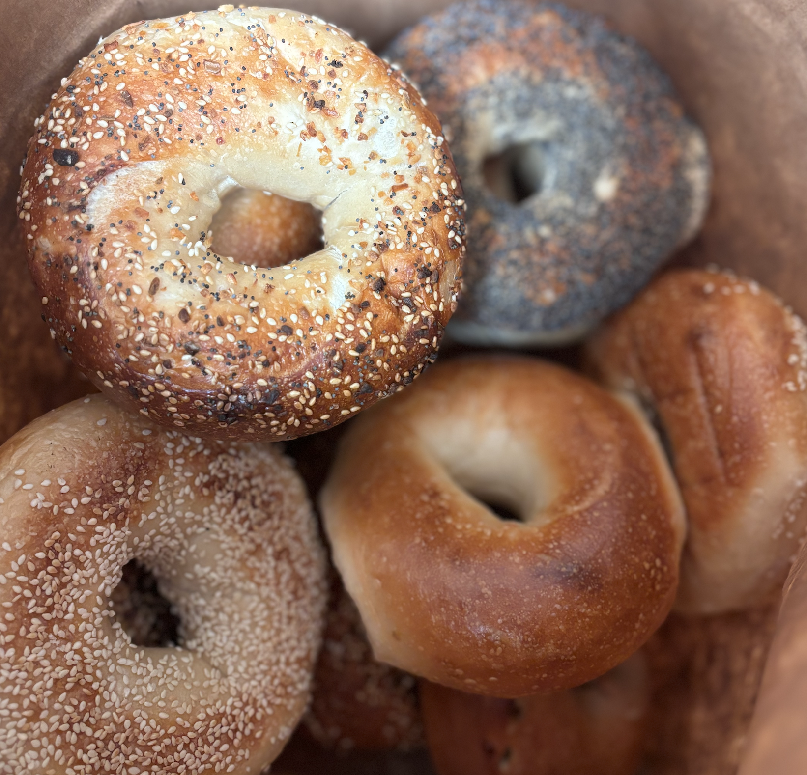 Bagel Package #1